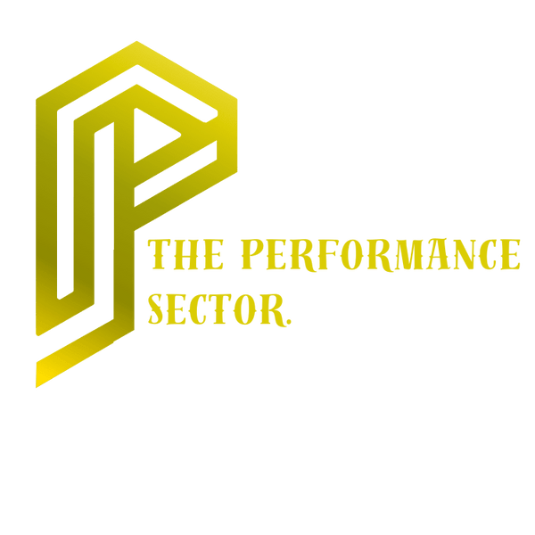 THE PERFORMANCE SECTOR